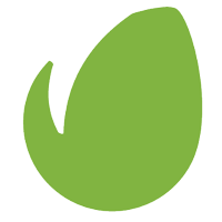 envato